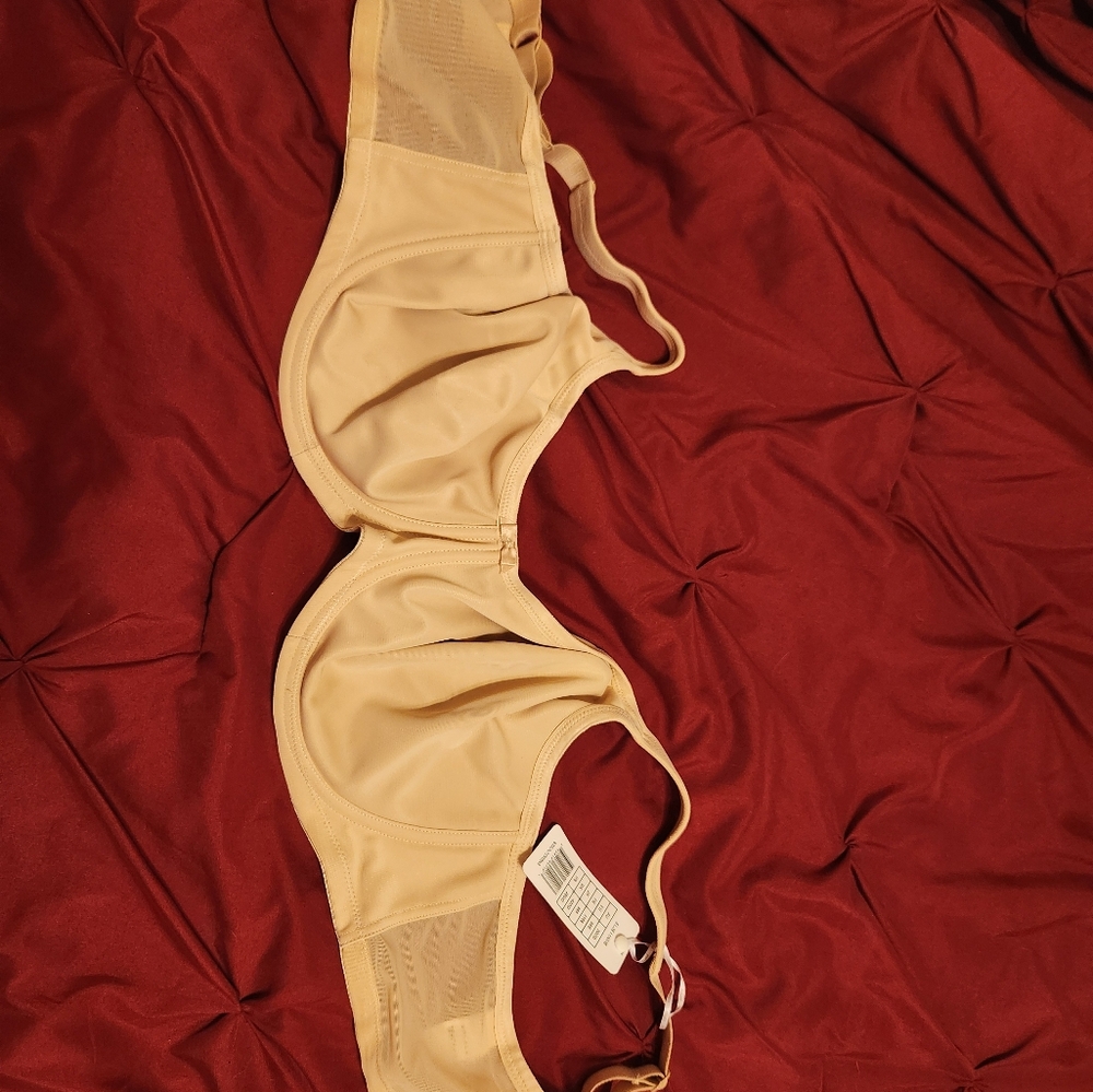 Elomi underwrite bra 42DD